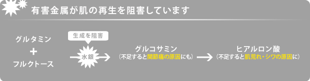 有害金属が肌の再生を阻害しています